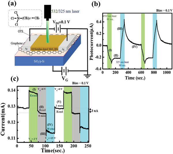 2D Heterostructures Induced Charge Transfer and Trapping for Hybrid Optically and Electrically Controllable Nonvolatile Memory