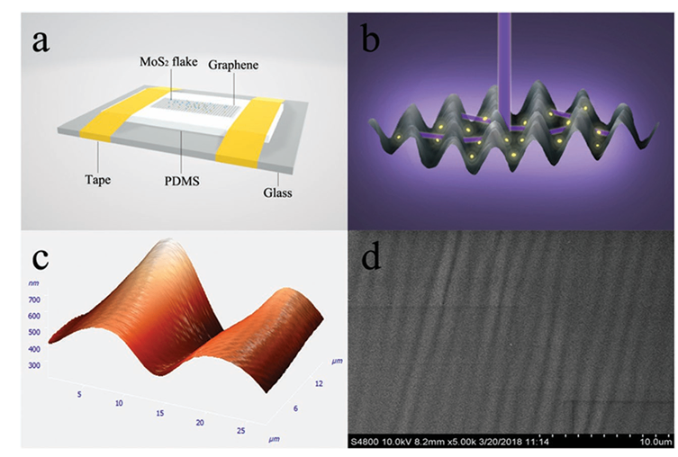 Stretchable and Broadband Cavity-Free Lasers Based on All 2D Metamaterials