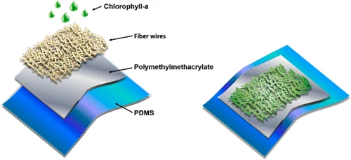 All Organic Label-like Copper(II) Ions Fluorescent Film Sensors with High Sensitivity and Stretchability