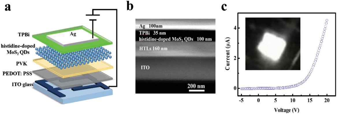 Electrically Pumped White-Light-Emitting Diodes Based on Histidine-Doped MoS₂ Quantum Dots